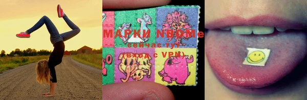 индика Балабаново