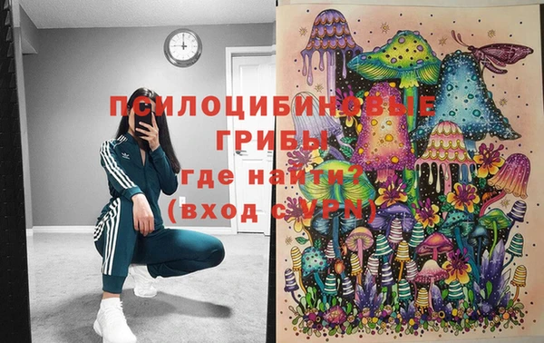 индика Балабаново