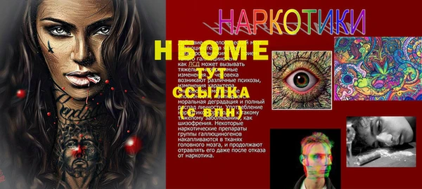 индика Балабаново