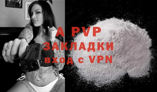 индика Балабаново