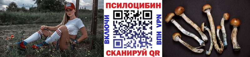 Псилоцибиновые грибы Psilocybe  Семилуки 